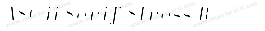 ASCii Serif Stress R字体转换